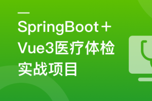 SpringBoot+Vue3+MySQL集群 开发大健康体检双系统